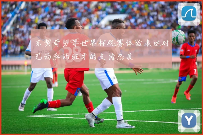 东契奇分享世界杯观赛体验表达对巴西和西班牙的支持态度