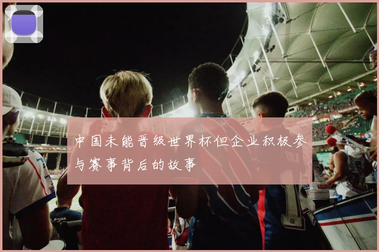 中国未能晋级世界杯但企业积极参与赛事背后的故事