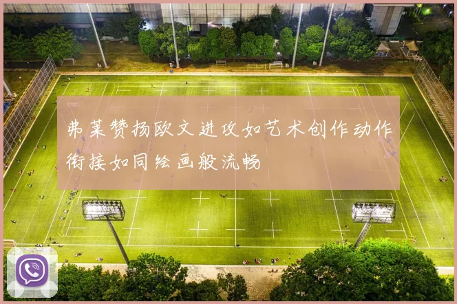 弗莱赞扬欧文进攻如艺术创作动作衔接如同绘画般流畅