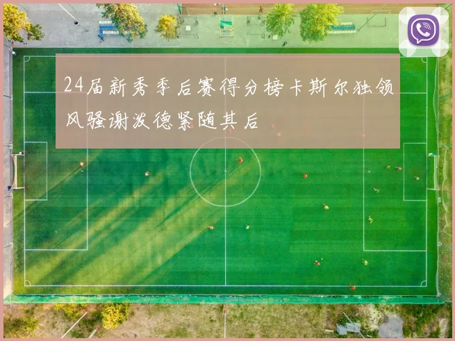 24届新秀季后赛得分榜卡斯尔独领风骚谢泼德紧随其后